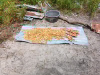 Makasutu Cultural Forest - Housity