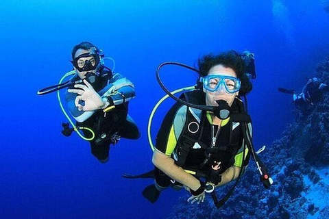 Antalya Scuba Diving for All Levels with Instructor