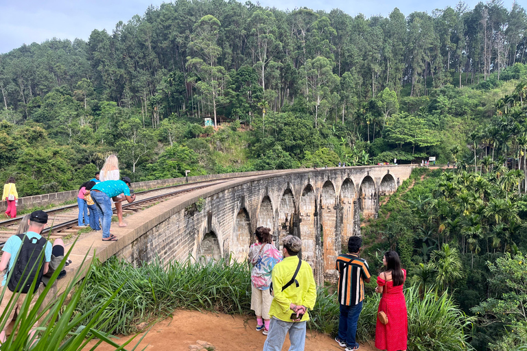 Explorez Ella : randonnée sur les rochers, boucle, cascades, neuf arches et vue sur le trainDécouvrez Ella : randonnée dans les rochers, boucle, chutes d&#039;eau, neuf arches et vue