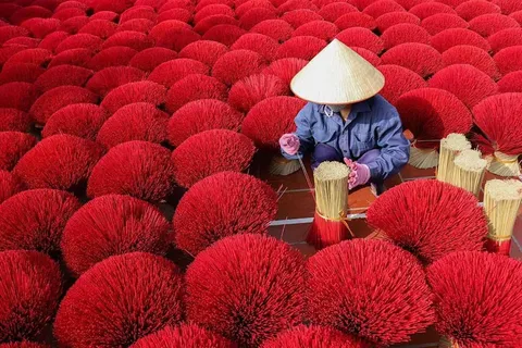 Desde Ha Noi: Pagoda del Perfume y Quang Phu Cau GRUPO/PRIVADO