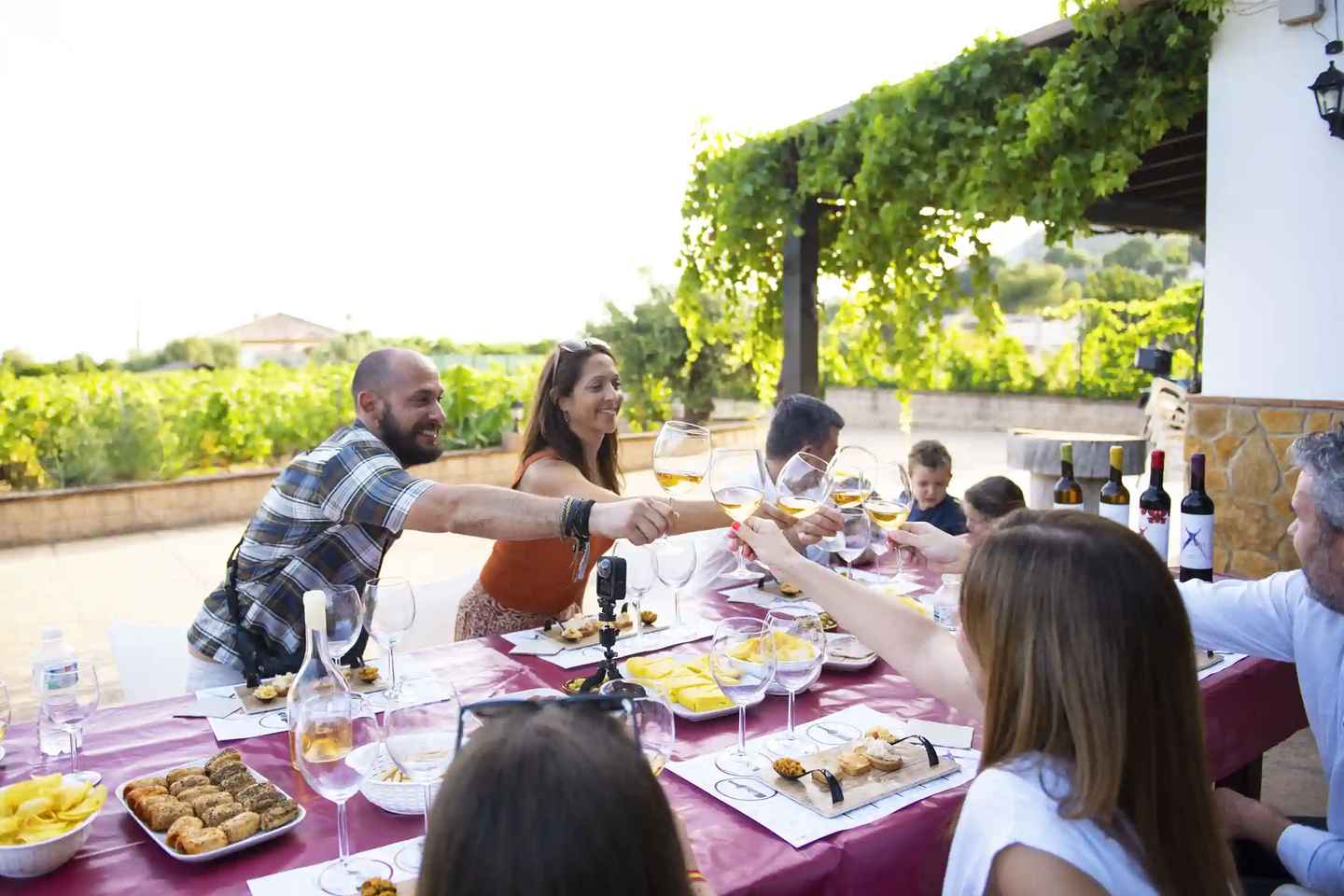 Near Malaga: Mijas Organic Vineyard, 5 Wines, 2 Oils & Tapas