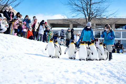 Sapporo: Asahiyama Zoo, Blue Pond & Fairy Terrace Tour Departure: Odori Park Subway Station Gate 31