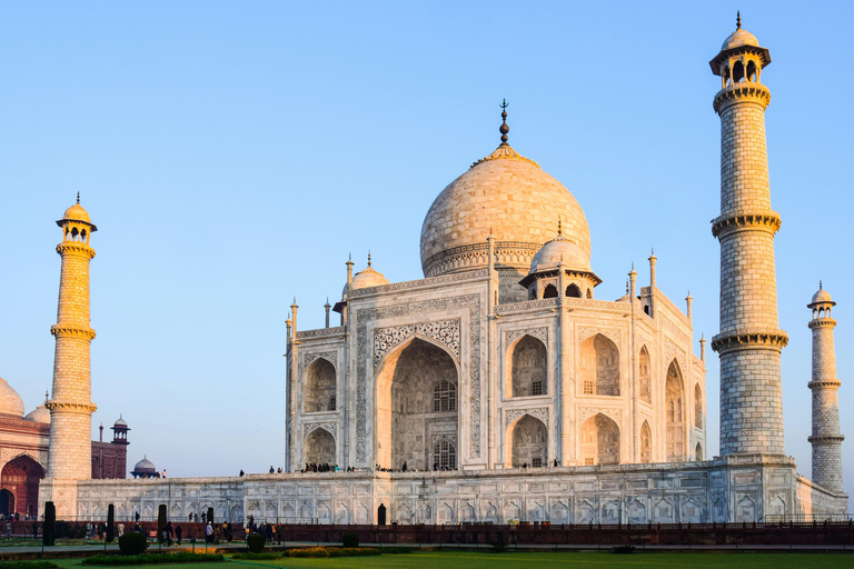 Desde Delhi: Visita al Taj Mahal al amanecer y al Fuerte de Agra en coche con aire acondicionado