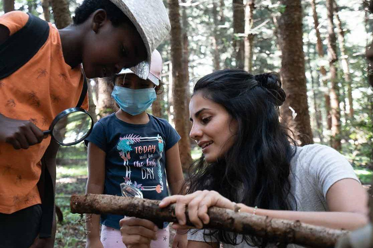 Karura Forest Guided Walking Tour in Nairobi.