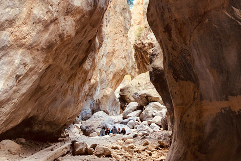 Kreta: Sarakina-Schlucht, Wälder und Südküsten-Safari
