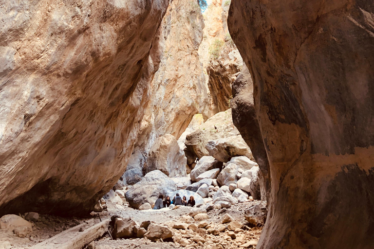Kreta: Sarakina-Schlucht, Wälder und Südküsten-Safari