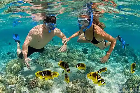 EXPLORA LA ISLA CHAM Y BUCEA PARA OBSERVAR EL CORAL.