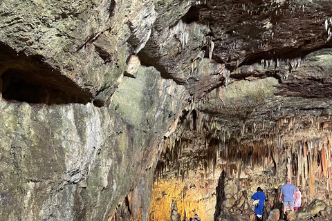 Au départ de Zakynthos : Visite d&#039;une jounée de Céphalonie