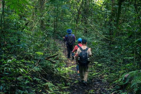 Bali-Munduk: Jungle Trek, Canoe & Bamboo Weaving Class Tamblingan Jungle Trek, Canoe & Bamboo Weaving Class