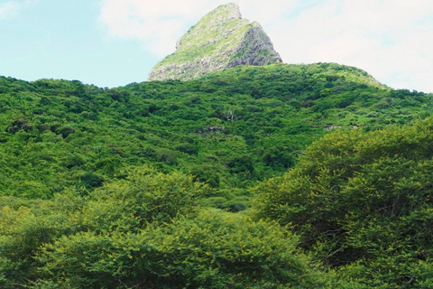 South Discovery :Wild Life Safari at Casela Park with Lunch