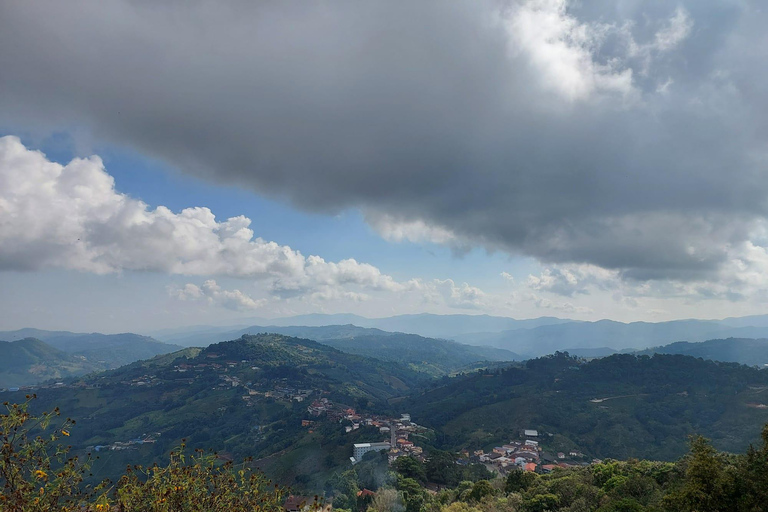 Chiang Rai: Mountains Discovery Doi Mae Salong & Doi Tung Mountains Discovery:Doi Mae Salong & Doi Tung (Private Tour)
