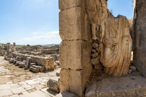Tunis/Hammamet: Testour, Dougga, Bulla Regia, Beja with Lunch Included Driver only (without live guide or meals)