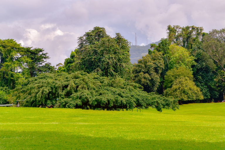 From Kandy: 4-Day Sri Lanka Hill Country Tour with Udawalawe