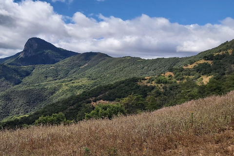 Oaxaca: Xaaga-Hierve el Agua Wandeltour van 1 dagPrijs voor 4-7 personen