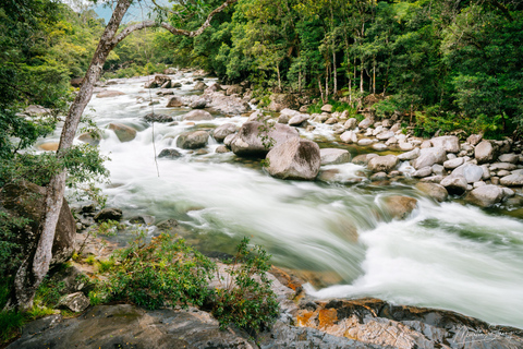 Foresta pluviale di Daintree: Passeggiata alle cascate magiche con pranzo e bagno