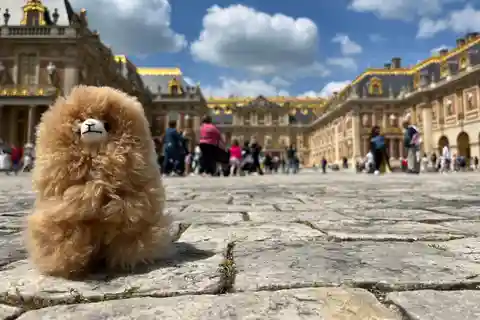 Versailles Halve dag tour per luxe auto