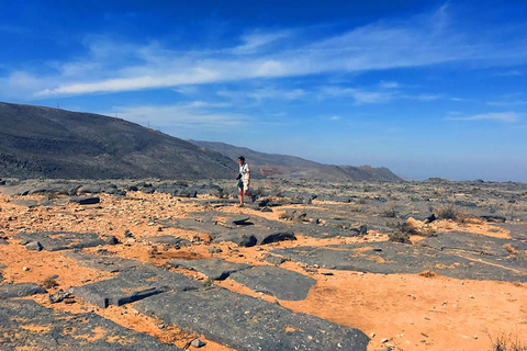 Z Ras Al Khaima: obserwacja delfinów i safari w Dżabal HarimFromRAK: Delfiny podczas snorkelingu i safari w Dżabal Harim