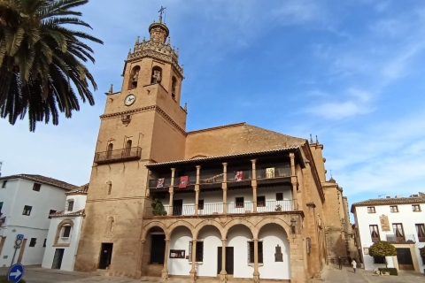 Desde Málaga: tour privado a Ronda y Setenilronda privada, setenil y plaza de toros