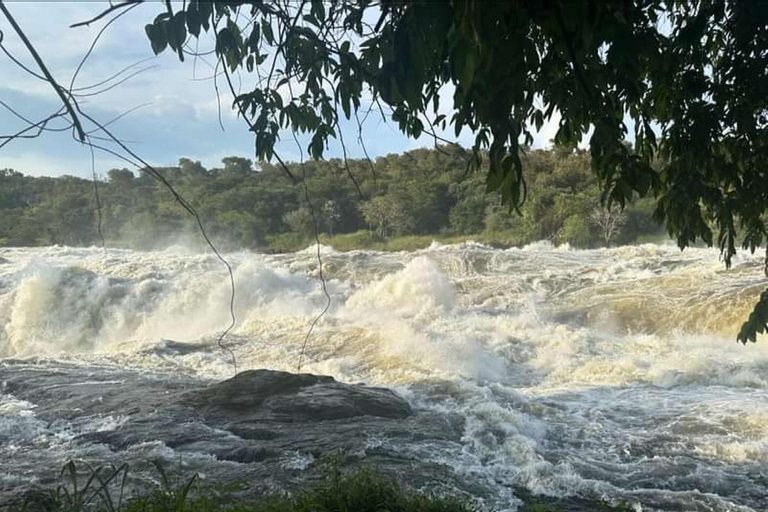 Uganda: Safari de 2 dias no Parque Nacional das Cataratas de Murchison e Big 5