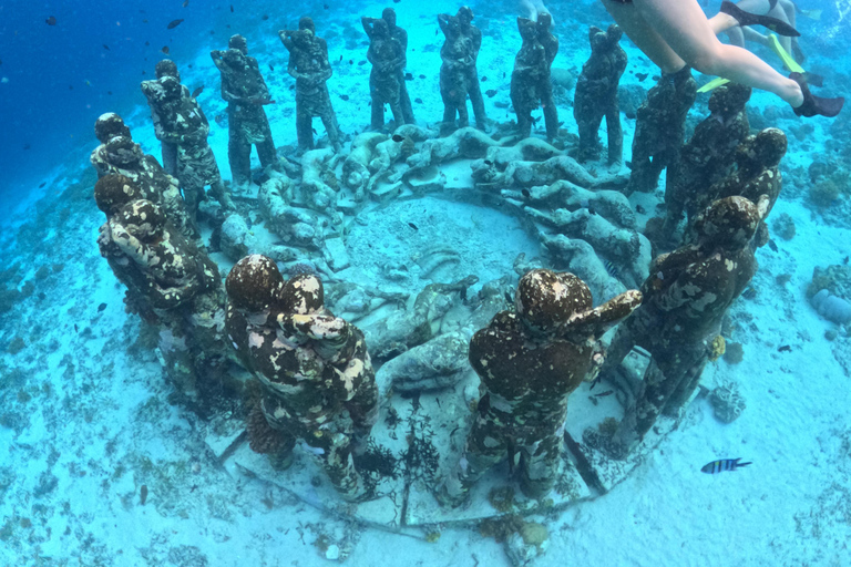 Gili Islands: Small-Group Snorkeling Tour with Photos