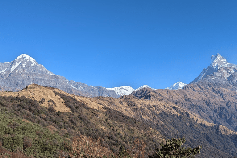 Kathmandu: 5-Day Mardi Himal Trek with Guide and Flights