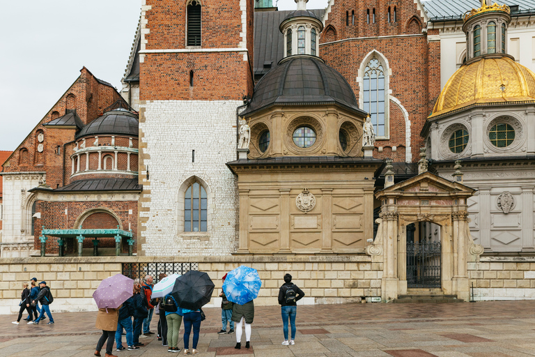 Cracovie : visite guidée de la colline du WawelVisite de groupe en anglais