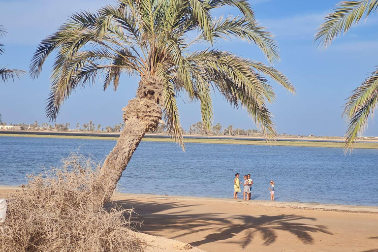 Djerba: Olive Oil Secrets with a Visit to an Underground Oil Mill