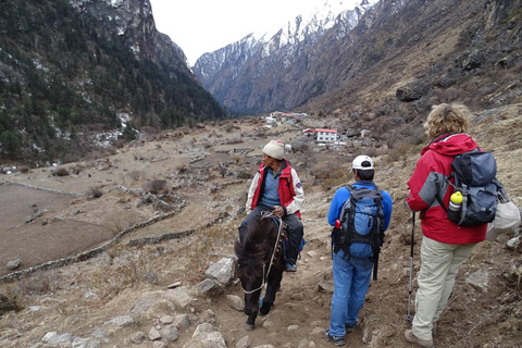 Langtang Valley Trek; 5 Tage, Guide, Mahlzeiten, Lodge &amp; Transport