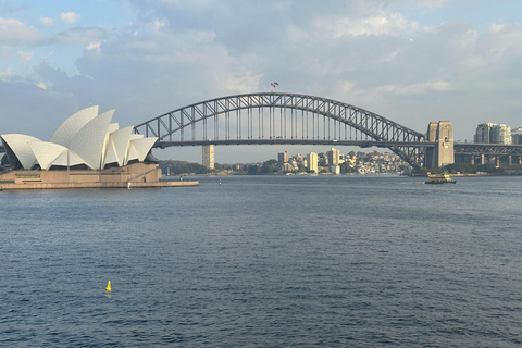 Blue Mountains Tour w/Lunch: Scenic World, Zoo & Koala Photo