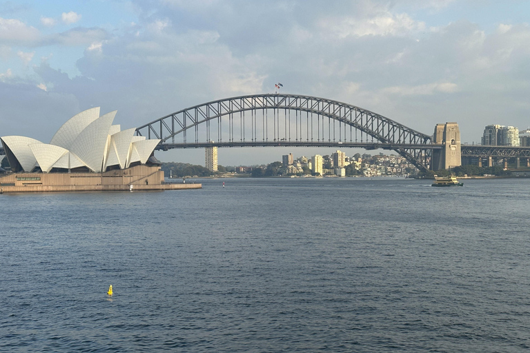 Blue Mountains Tour w/Lunch: Scenic World, Zoo & Koala Photo