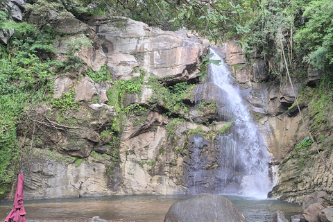 Esplora le cascate iconiche di Ella con un&#039;avventura panoramica in tuk-tuk