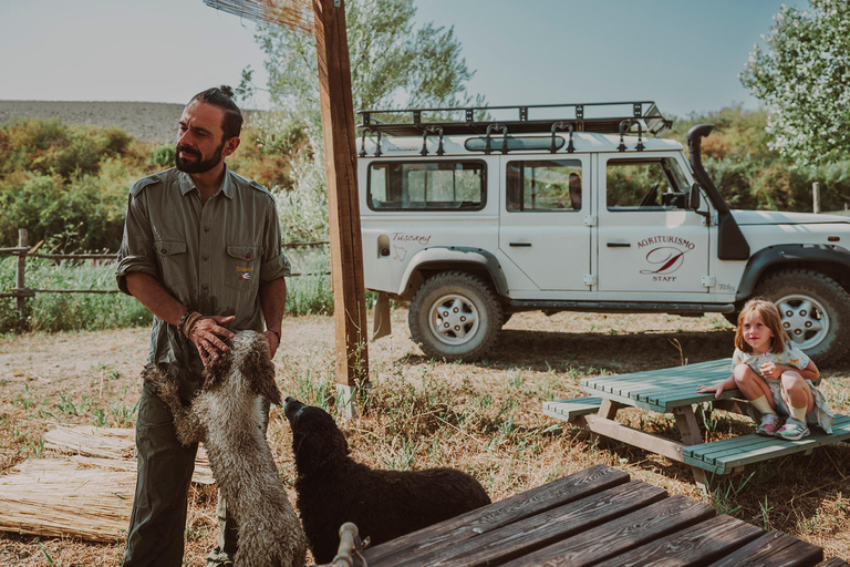 Tuscany: Volterra Truffle Hunting