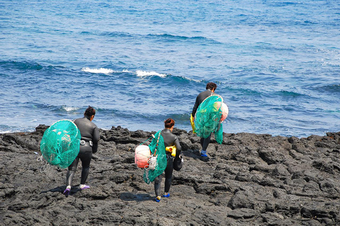 Jeju: UNESCO South & East Highlights 2 Days Combo Tour