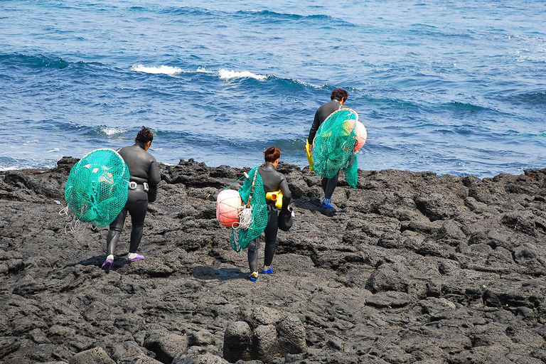 Jeju: UNESCO South & East Highlights 2 Days Combo Tour