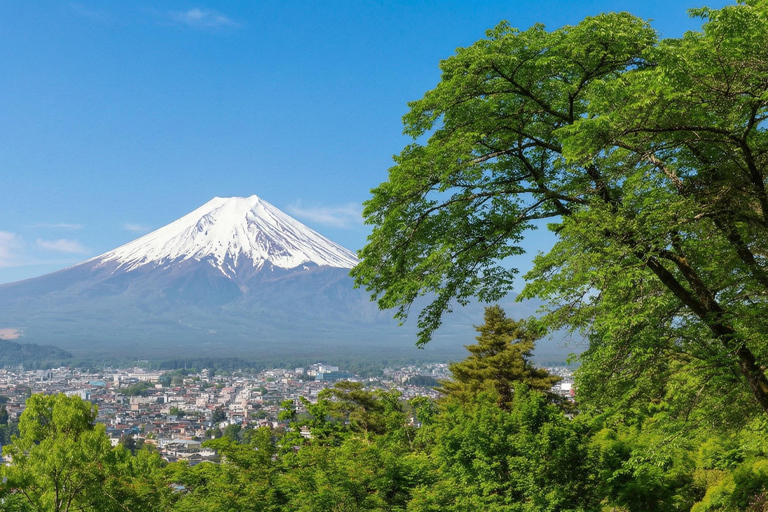 Mt. Fuji & Hakone Tour: Arakurayama, OshinoHakkai, Owakudani Tokyo Station | 7:30 AM Departure with English Guide