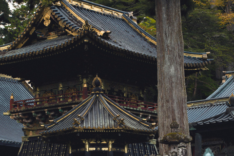 Excursion privée d&#039;une journée à Nikko et visites touristiques :