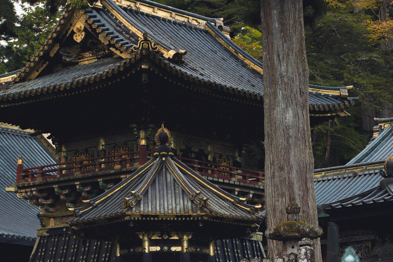 Excursion privée d&#039;une journée à Nikko et visites touristiques :