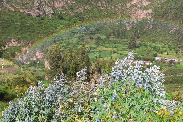 EXPERIENTIAL TOURISM AND FULL DAY MEDICINAL PLANTS CLASSES