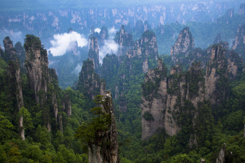 Meraviglioso tour di un giorno a Zhangjiajie con il Parco Nazionale delle Foreste