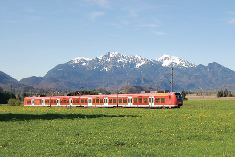 Munich: Premium Neuschwanstein Small-Group Tour by Train