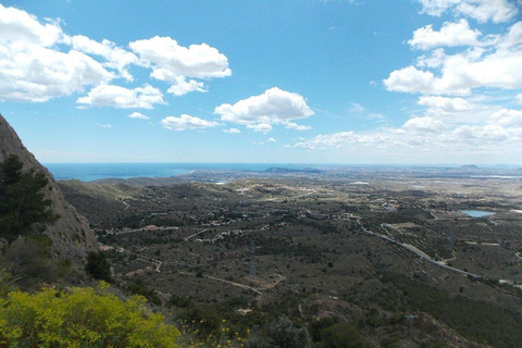 Alicante: Excursão às grutas de Canelobre e Busot com transfer