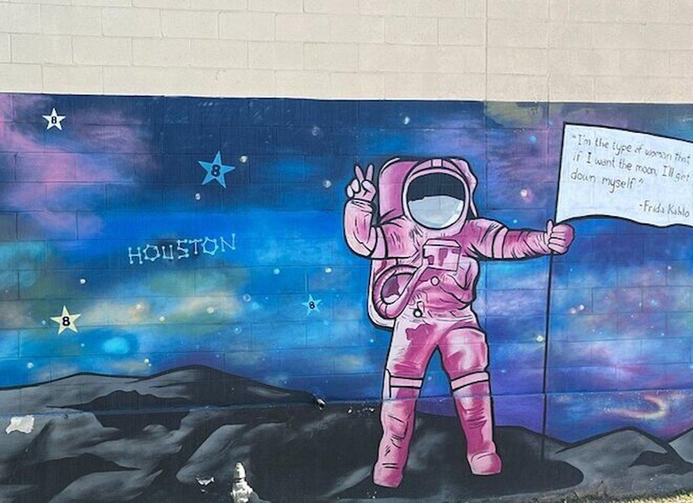 Houston: Billet til NASA Space Center og transport t/r