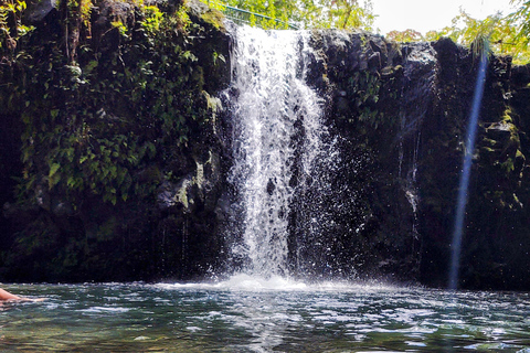 Maui: Halfway to Hana Black Sand Beach & Turtles Tour