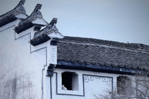 Shanghai: Tonglu Ancient Villages & Fruit-Picking Day Trip