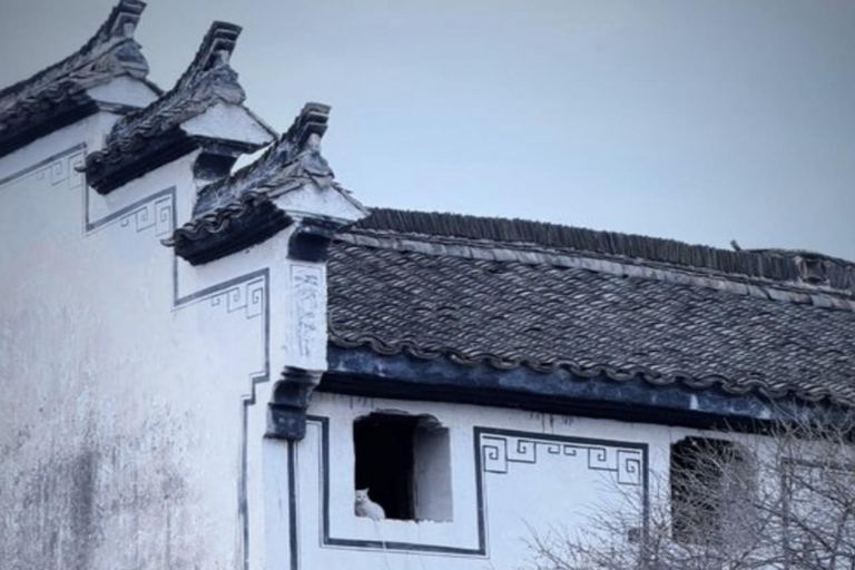 Shanghai: Tonglu Ancient Villages & Fruit-Picking Day Trip