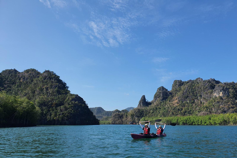 Langkawi: Mangrove Kayak Tour with Wildlife Spotting