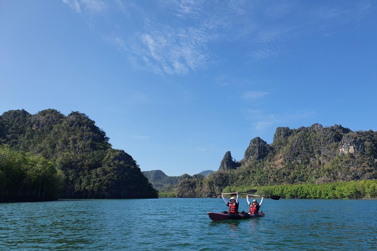 Langkawi: Mangrove Kayak Tour with Wildlife Spotting