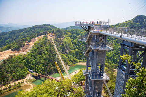 From Seoul: Wonju Nature Day Trip, Ginkgo Tree & Cable Car A. [Spring] Sogeumsan Cable Car & Cherry Blossom Tunnel Tour