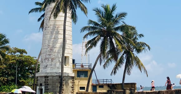 Galle Fort, Mask Museum, and Turtle Hatchery Day Trip