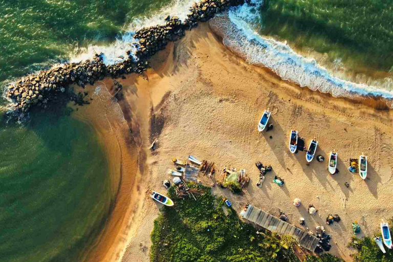 Bentota: Madu River Safari, Turtle Conservation & Beach Day